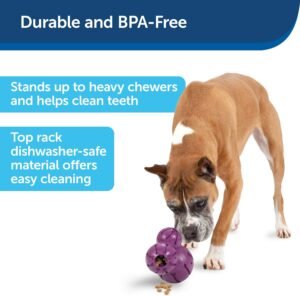 PetSafe Busy Buddy Barnacle